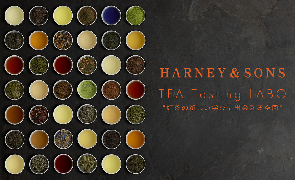 【表参道店】完全予約制のスペシャル・ティーセミナー「HARNEY’S TEA Tasting LABO」