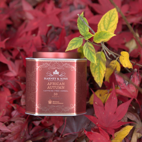 African Autumn アフリカン・オータム【HRP】