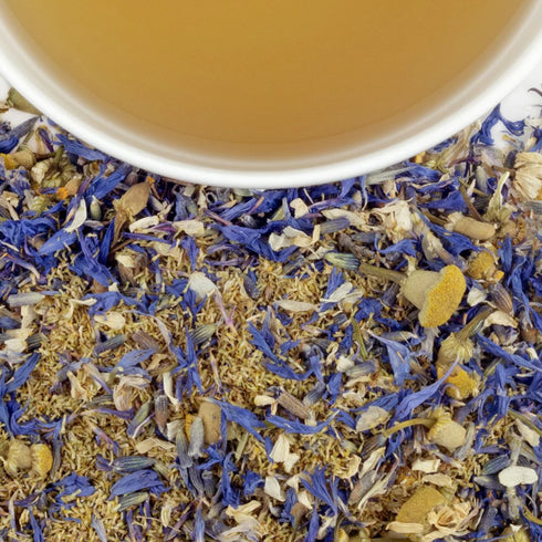 Yellow & Blue イエロー&ブルー【Tagalong】