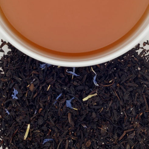 【Holiday Collection】Celebration セレブレーション 【HDS】