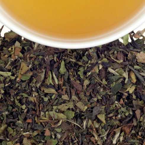 【Gift Set】 Winter White Earl Grey & Tea Cup