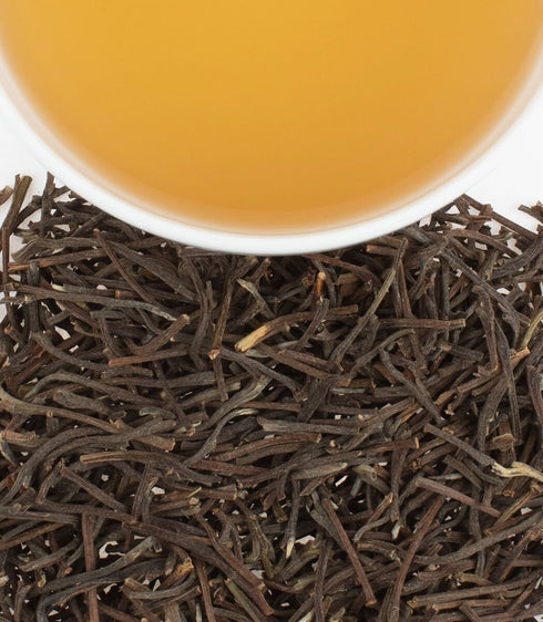 African Antlers アフリカン・アントラーズ【Loose Leaf】