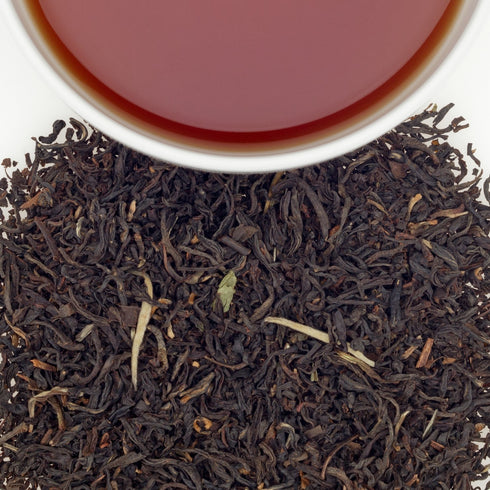 Eight at the fort エイト・アット・ザ・フォート【Loose Leaf】