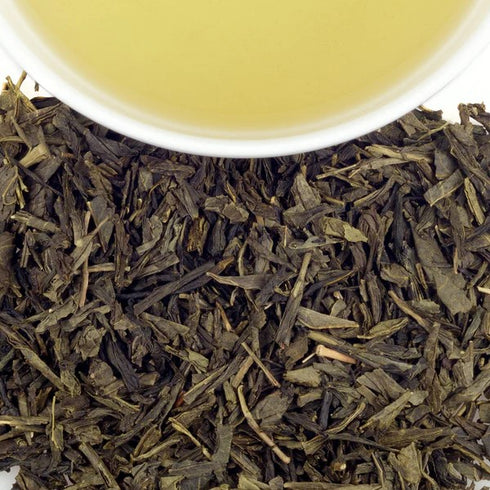 【Schitt's Creek】 Tropical Green トロピカル・グリーン【HDS】