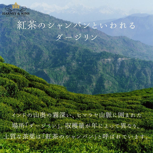 Darjeeling ダージリン【Classic】