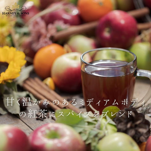 【HARNEY & SONS × THE MET】HOT APPLE SPICE BLACK TEA ホット・アップル・スパイス・ブラック・ティー 【HDS】
