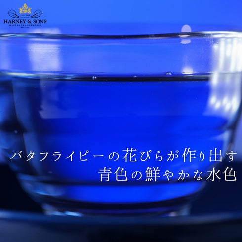 True Blue Oolong トゥルー・ブルー・ウーロン 【HDS】