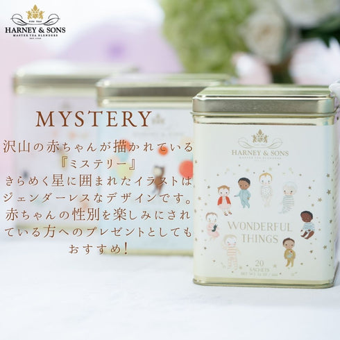 WONDERFUL THINGS :(MYSTERY) ワンダフル・シングス(ミステリー) 【HDS】