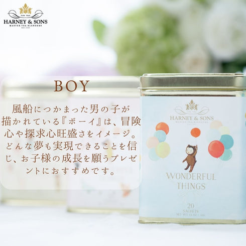 WONDERFUL THINGS :(BOY) ワンダフル・シングス(ボーイ) 【HDS】