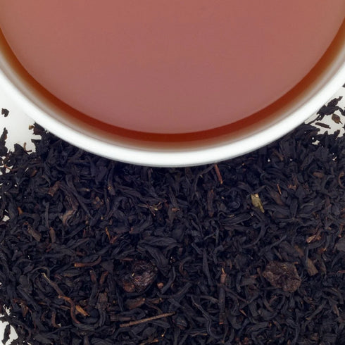 Black Currant ブラック・カラント【HT】