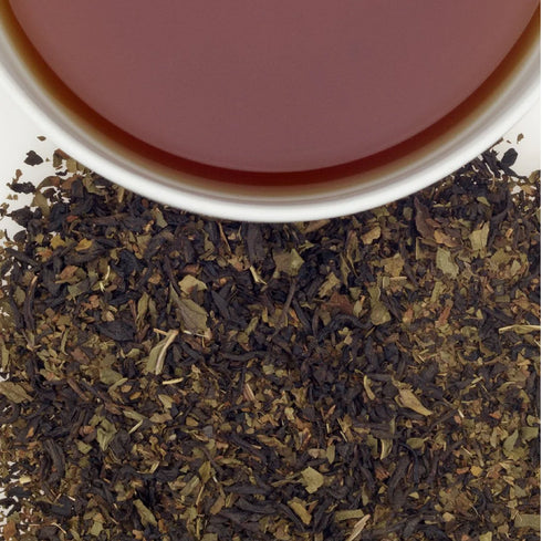 Chocolate Mint チョコレート・ミント 【HT】