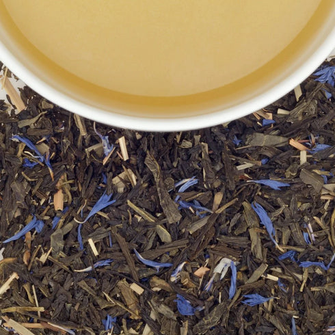 Blueberry Green ブルーベリー・グリーン 【HT】