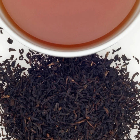 Boston ボストン 【Loose Leaf】