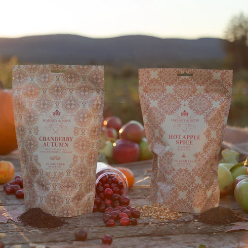 Hot Apple Spice ホット・アップル・スパイス 【Bags of 50】