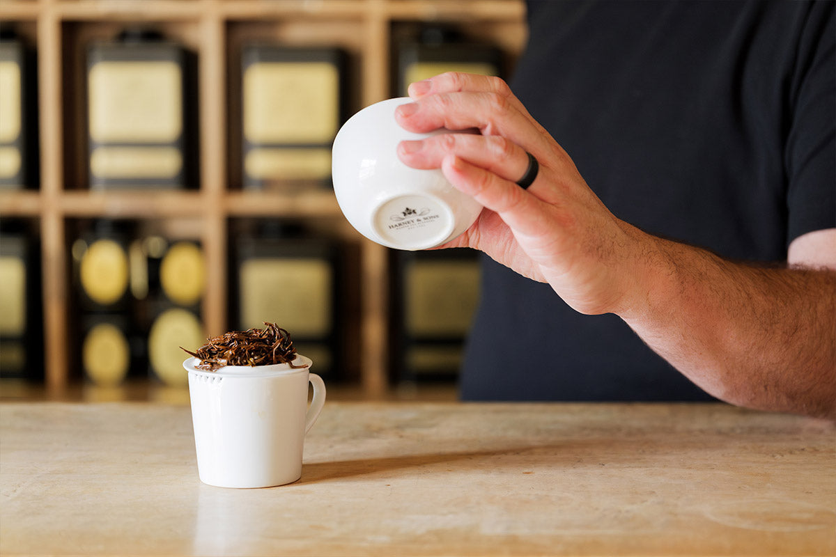 ティー・テイスティング・ラボ 2026｜テイスティングイベント開催のお知らせ