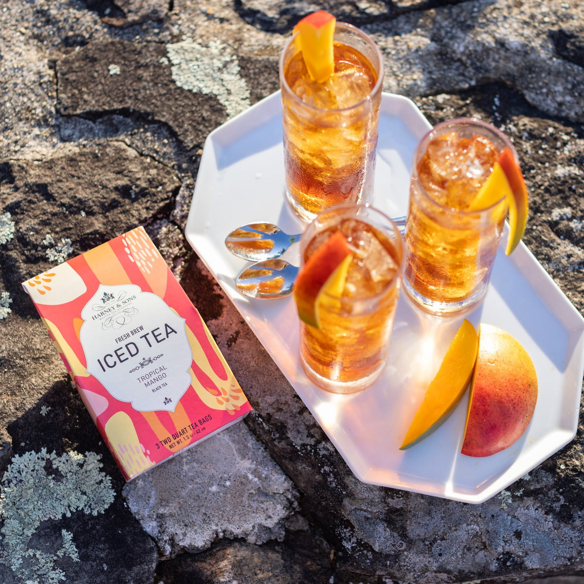 （ハーニー＆サンズ公式）Iced Tropical Mango Box トロピカル・マンゴー・アイスティー【ICED】 HARNEY