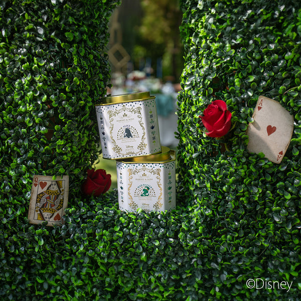 【数量限定】Advent Calendar アドベント・カレンダー 2024 HARNEY & SONS JAPAN